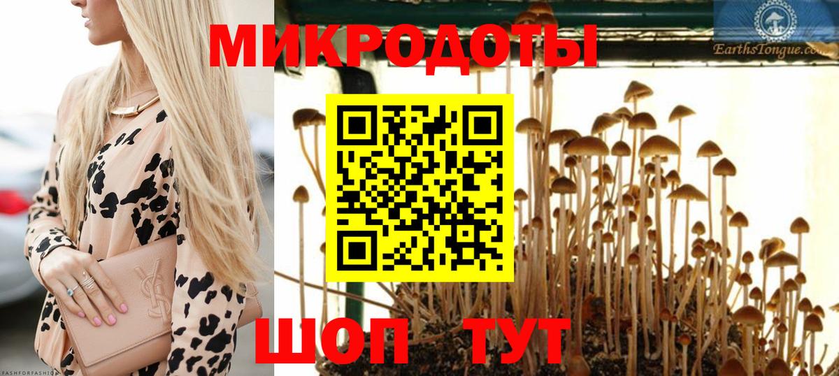 Псилоцибиновые грибы GOLDEN TEACHER  Вход с VPN  Камень-на-Оби  Псилоцибиновые грибы Cubensis 